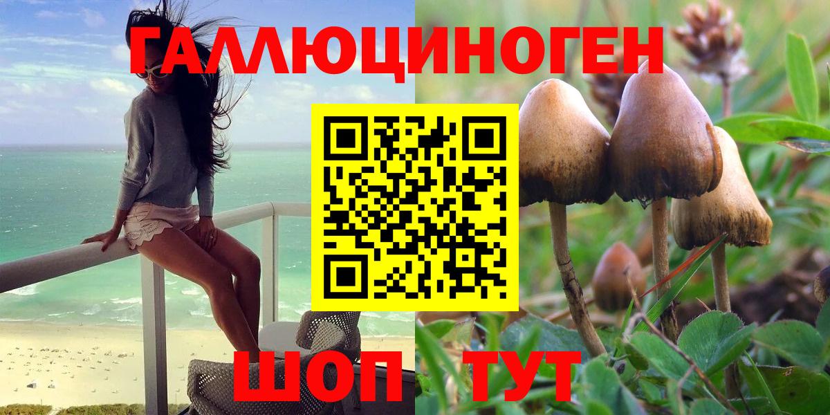 Галлюциногенные грибы Psilocybine cubensis  Вход с VPN  Среднеуральск 